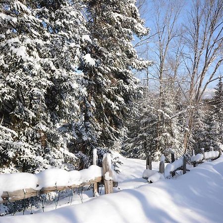מונט טרמבלאנט Jardin Du Village By Chez Tremblant מראה חיצוני תמונה
