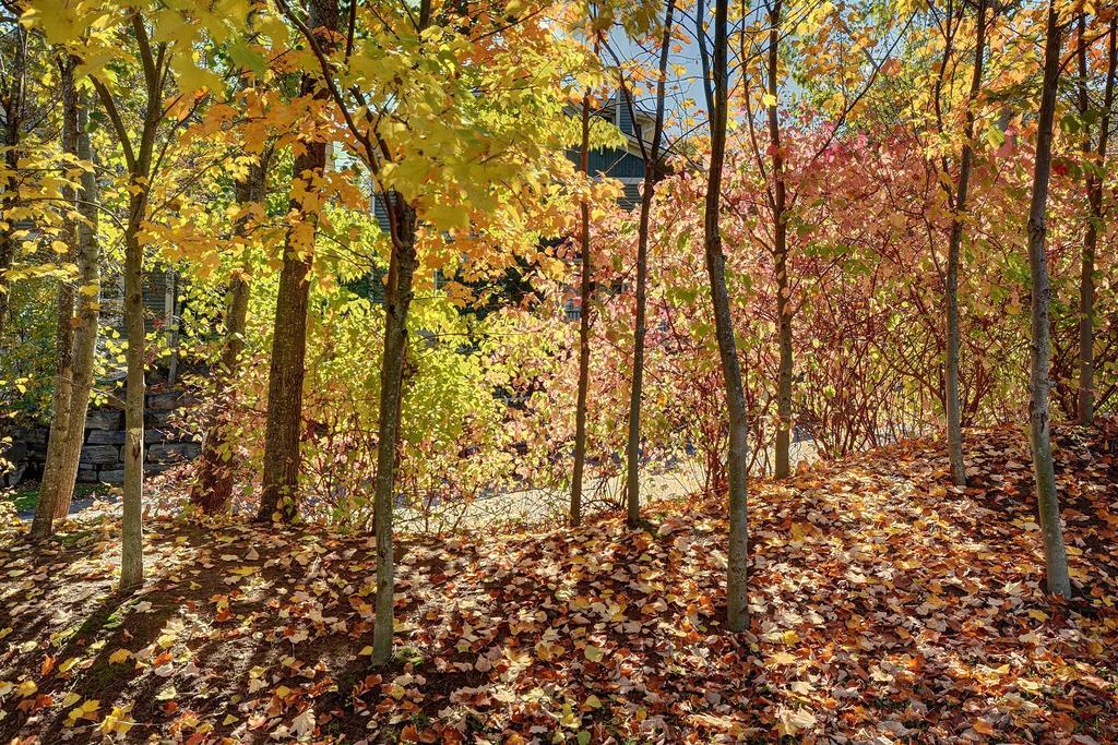 מונט טרמבלאנט Jardin Du Village By Chez Tremblant חדר תמונה